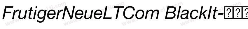 FrutigerNeueLTCom BlackIt字体转换